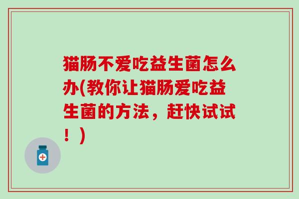 猫肠不爱吃益生菌怎么办(教你让猫肠爱吃益生菌的方法,赶快试试!) 猫肠不爱吃益生菌怎么办(教你让猫肠爱吃益生菌的方法,赶快试试!)
