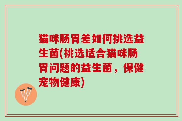 猫咪肠胃差如何挑选益生菌(挑选适合猫咪肠胃问题的益生菌,保健宠物健康) 猫咪肠胃差如何挑选益生菌(挑选适合猫咪肠胃问题的益生菌,保健宠物健康)