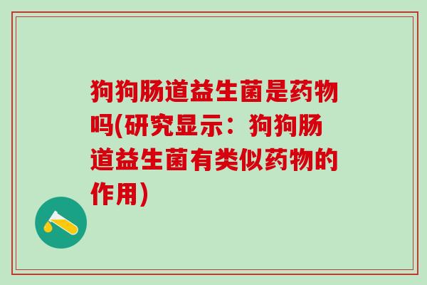 狗狗肠道益生菌是药物吗(研究显示：狗狗肠道益生菌有类似药物的作用)