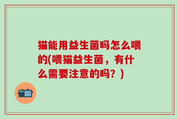 猫能用益生菌吗怎么喂的(喂猫益生菌，有什么需要注意的吗？)