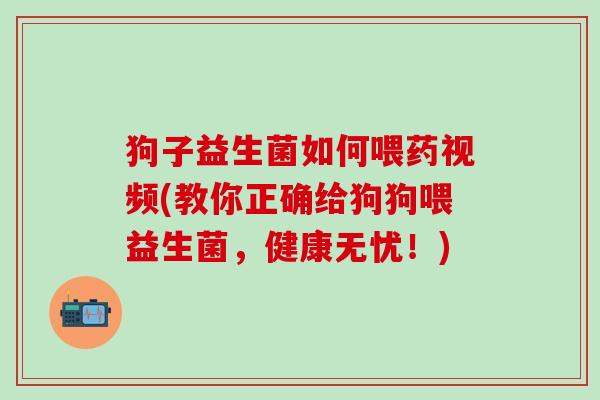 狗子益生菌如何喂药视频(教你正确给狗狗喂益生菌，健康无忧！)