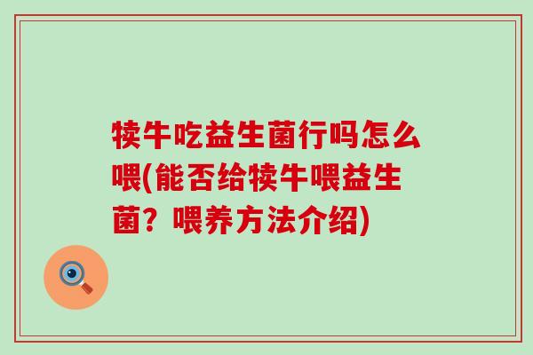 犊牛吃益生菌行吗怎么喂(能否给犊牛喂益生菌?喂养方法介绍) 犊牛吃益生菌行吗怎么喂(能否给犊牛喂益生菌?喂养方法介绍)