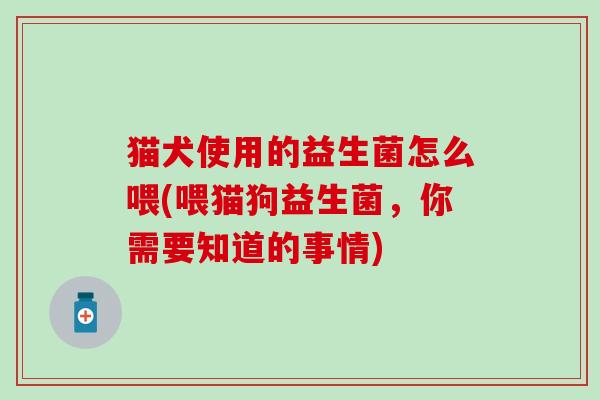 猫犬使用的益生菌怎么喂(喂猫狗益生菌，你需要知道的事情)