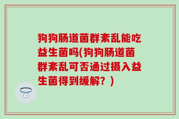 狗狗肠道菌群紊乱能吃益生菌吗(狗狗肠道菌群紊乱可否通过摄入益生菌得到缓解?) 狗狗肠道菌群紊乱能吃益生菌吗(狗狗肠道菌群紊乱可否通过摄入益生菌得到缓解?)