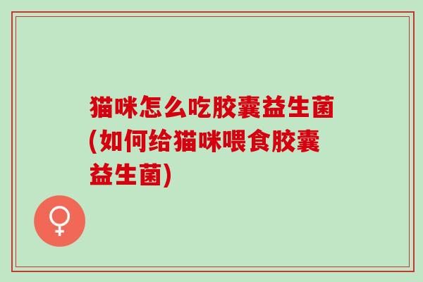 猫咪怎么吃胶囊益生菌(如何给猫咪喂食胶囊益生菌)