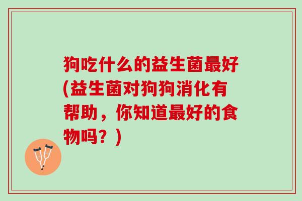 狗吃什么的益生菌最好(益生菌对狗狗消化有帮助，你知道最好的食物吗？)