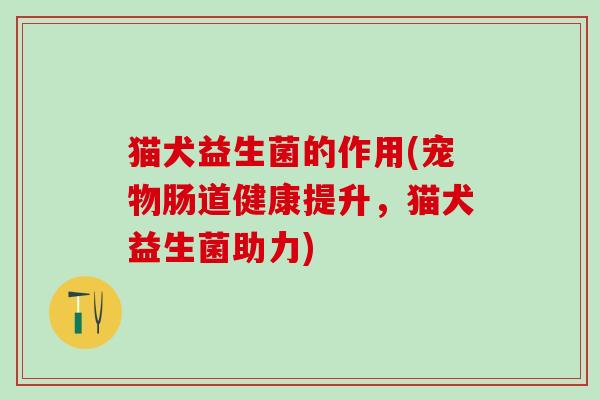 猫犬益生菌的作用(宠物肠道健康提升，猫犬益生菌助力)