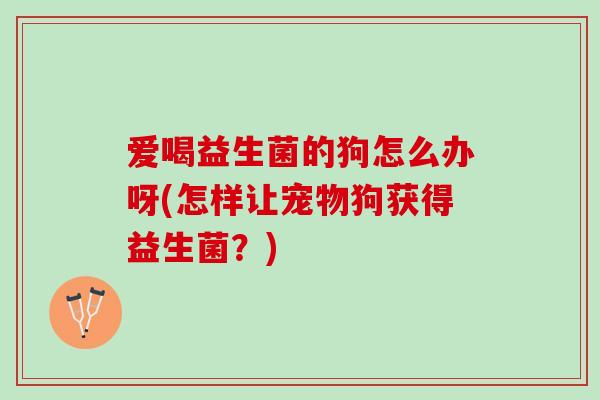 爱喝益生菌的狗怎么办呀(怎样让宠物狗获得益生菌？)