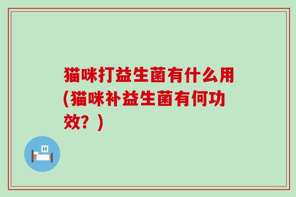 猫咪打益生菌有什么用(猫咪补益生菌有何功效?) 猫咪打益生菌有什么用(猫咪补益生菌有何功效?)