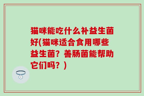 猫咪能吃什么补益生菌好(猫咪适合食用哪些益生菌？善肠菌能帮助它们吗？)