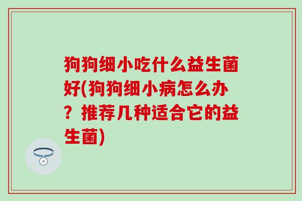 狗狗细小吃什么益生菌好(狗狗细小病怎么办？推荐几种适合它的益生菌)