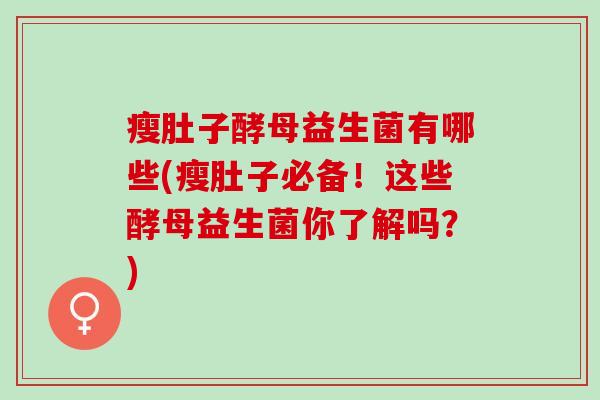 瘦肚子酵母益生菌有哪些(瘦肚子必备！这些酵母益生菌你了解吗？)