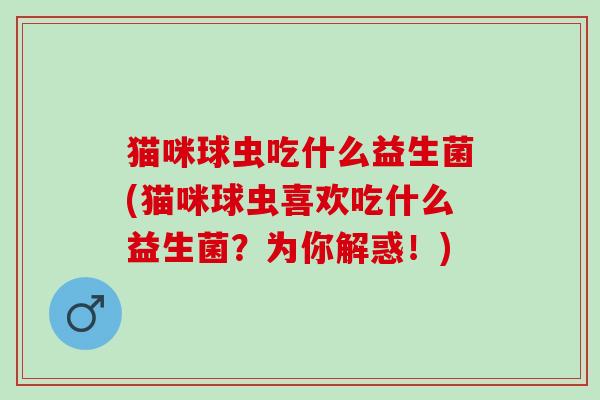 猫咪球虫吃什么益生菌(猫咪球虫喜欢吃什么益生菌？为你解惑！)