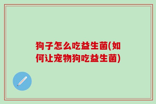 狗子怎么吃益生菌(如何让宠物狗吃益生菌)