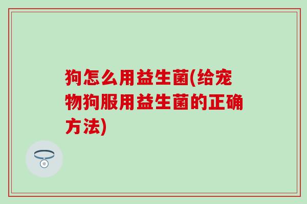 狗怎么用益生菌(给宠物狗服用益生菌的正确方法)