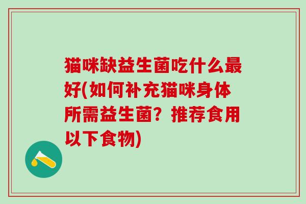 猫咪缺益生菌吃什么最好(如何补充猫咪身体所需益生菌？推荐食用以下食物)