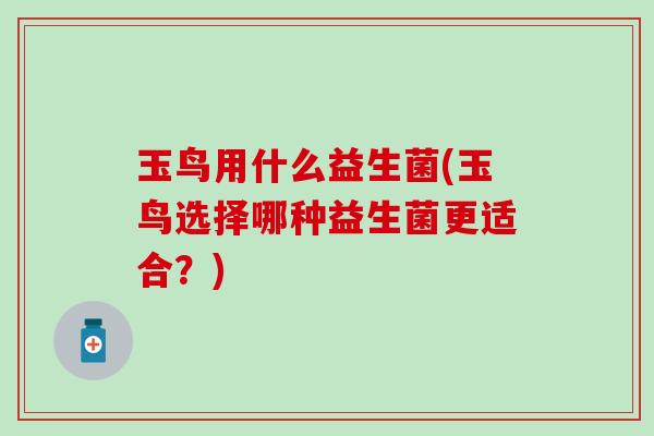 玉鸟用什么益生菌(玉鸟选择哪种益生菌更适合？)