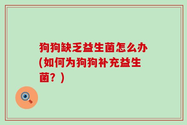 狗狗缺乏益生菌怎么办(如何为狗狗补充益生菌？)
