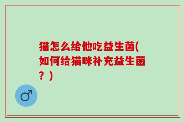 猫怎么给他吃益生菌(如何给猫咪补充益生菌？)