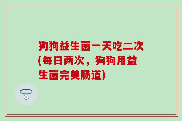 狗狗益生菌一天吃二次(每日两次，狗狗用益生菌完美肠道)