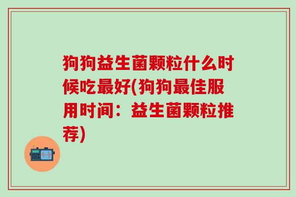 狗狗益生菌颗粒什么时候吃最好(狗狗最佳服用时间：益生菌颗粒推荐)