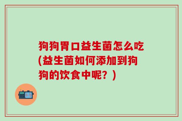 狗狗胃口益生菌怎么吃(益生菌如何添加到狗狗的饮食中呢？)
