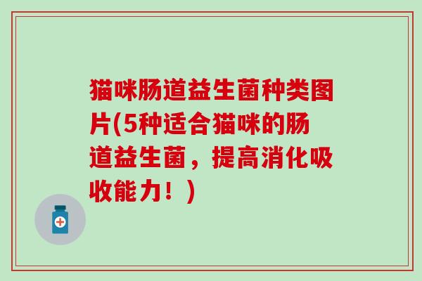 猫咪肠道益生菌种类图片(5种适合猫咪的肠道益生菌,提高消化吸收能力!) 猫咪肠道益生菌种类图片(5种适合猫咪的肠道益生菌,提高消化吸收能力!)