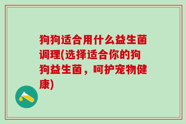 狗狗适合用什么益生菌调理(选择适合你的狗狗益生菌，呵护宠物健康)