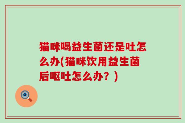 猫咪喝益生菌还是吐怎么办(猫咪饮用益生菌后呕吐怎么办？)