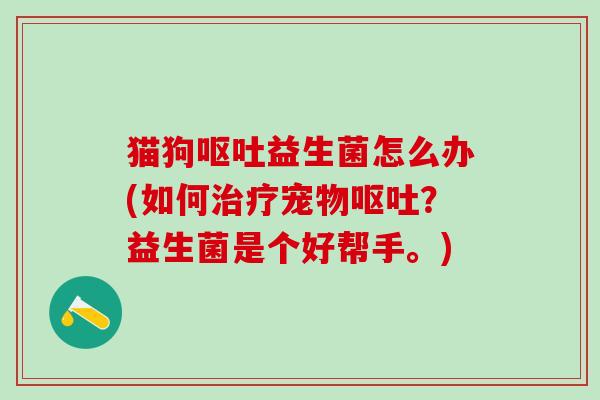 猫狗呕吐益生菌怎么办(如何治疗宠物呕吐？益生菌是个好帮手。)
