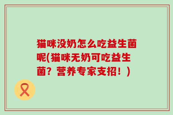 猫咪没奶怎么吃益生菌呢(猫咪无奶可吃益生菌？营养专家支招！)