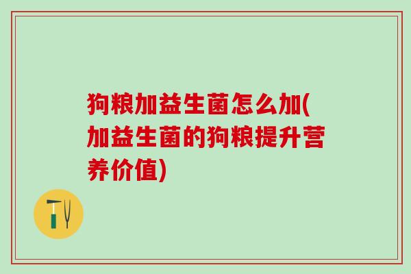 狗粮加益生菌怎么加(加益生菌的狗粮提升营养价值)