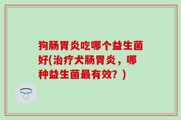 狗肠胃炎吃哪个益生菌好(治疗犬肠胃炎，哪种益生菌最有效？)