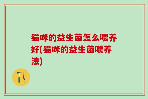 猫咪的益生菌怎么喂养好(猫咪的益生菌喂养法)