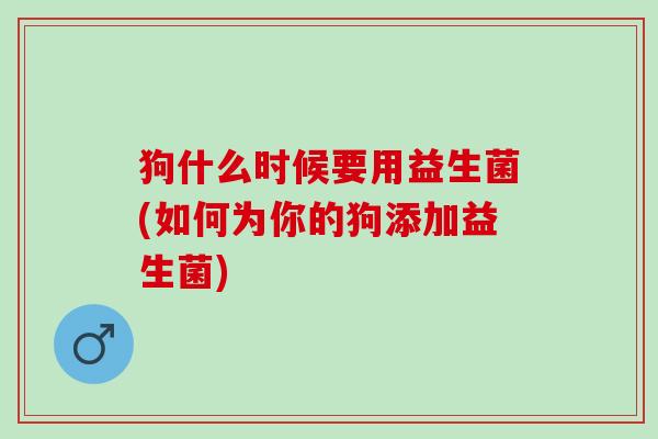 狗什么时候要用益生菌(如何为你的狗添加益生菌)