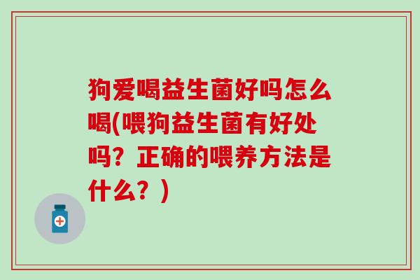 狗爱喝益生菌好吗怎么喝(喂狗益生菌有好处吗？正确的喂养方法是什么？)