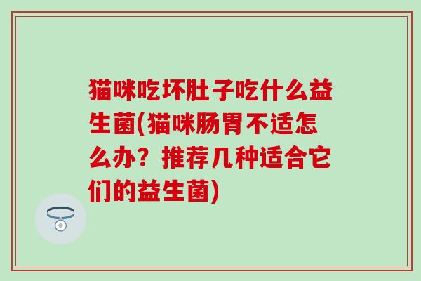 猫咪吃坏肚子吃什么益生菌(猫咪肠胃不适怎么办？推荐几种适合它们的益生菌)