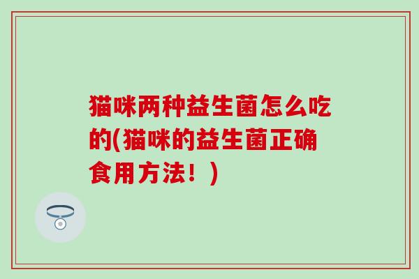 猫咪两种益生菌怎么吃的(猫咪的益生菌正确食用方法！)