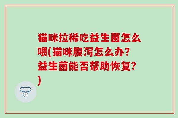 猫咪拉稀吃益生菌怎么喂(猫咪腹泻怎么办？益生菌能否帮助恢复？)