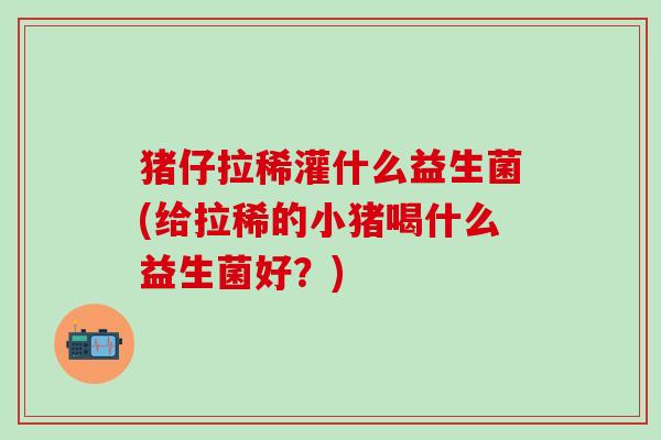 猪仔拉稀灌什么益生菌(给拉稀的小猪喝什么益生菌好？)