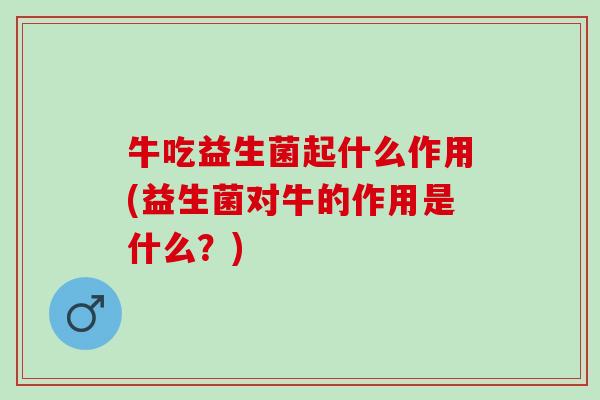 牛吃益生菌起什么作用(益生菌对牛的作用是什么？)