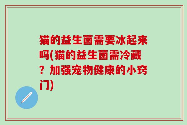 猫的益生菌需要冰起来吗(猫的益生菌需冷藏？加强宠物健康的小窍门)