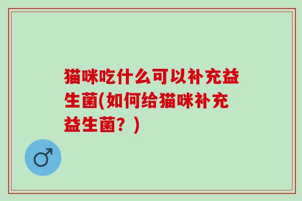 猫咪吃什么可以补充益生菌(如何给猫咪补充益生菌？)