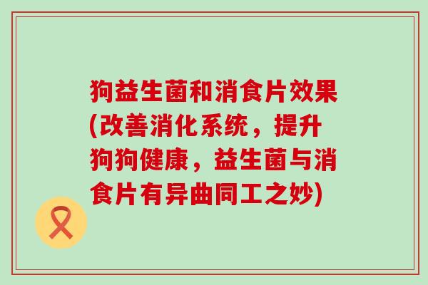 狗益生菌和消食片效果(改善消化系统，提升狗狗健康，益生菌与消食片有异曲同工之妙)