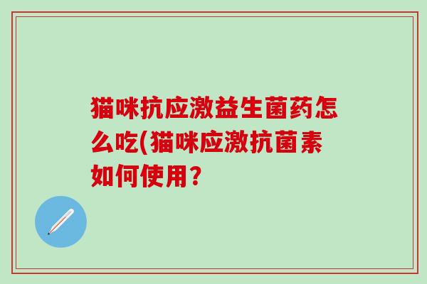 猫咪抗应激益生菌药怎么吃(猫咪应激抗菌素如何使用？
