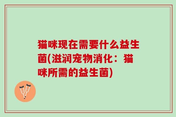 猫咪现在需要什么益生菌(滋润宠物消化：猫咪所需的益生菌)