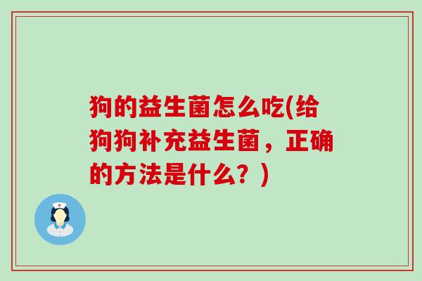 狗的益生菌怎么吃(给狗狗补充益生菌，正确的方法是什么？)