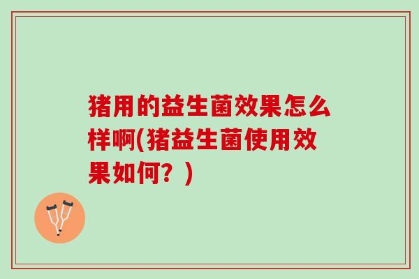 猪用的益生菌效果怎么样啊(猪益生菌使用效果如何？)
