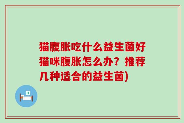 猫吃什么益生菌好猫咪怎么办？推荐几种适合的益生菌)