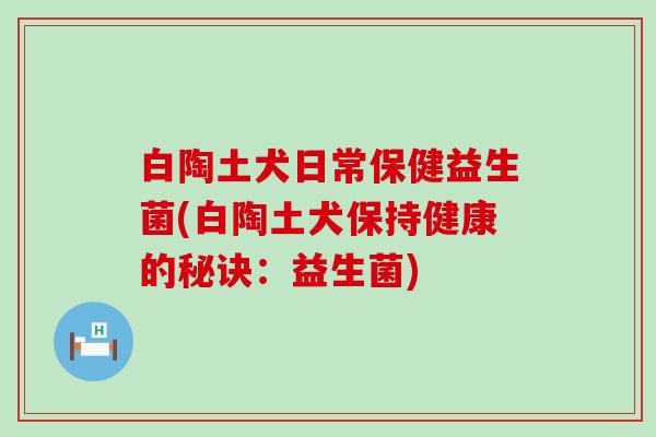 白陶土犬日常保健益生菌(白陶土犬保持健康的秘诀：益生菌)